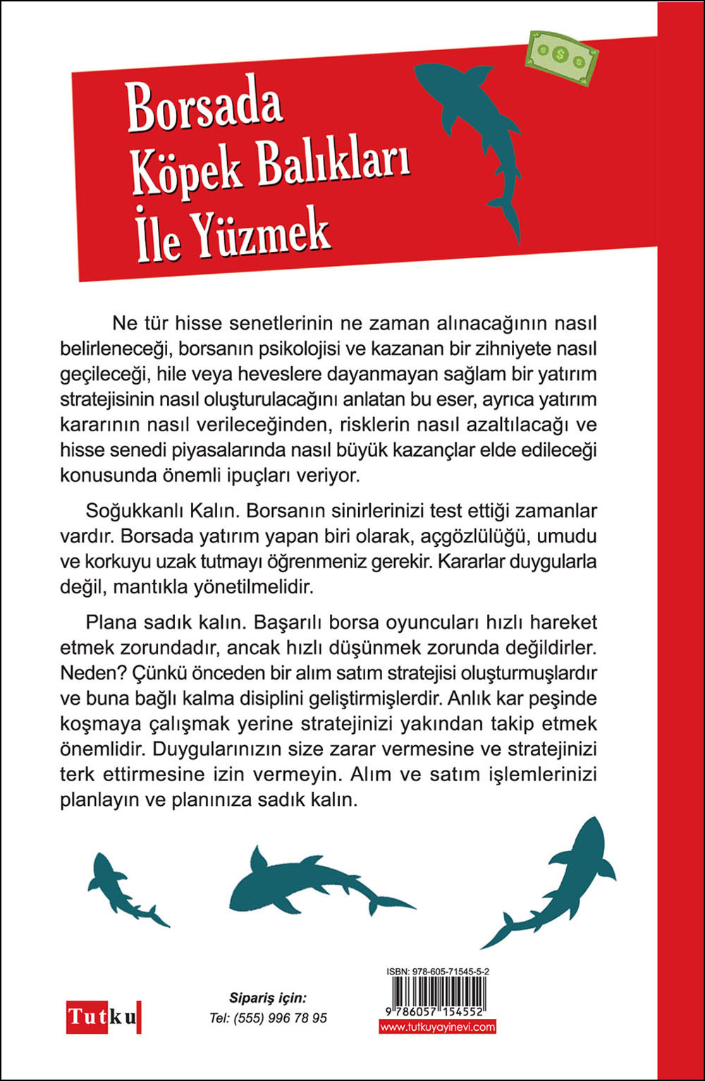 Borsada Köpek Balıkları İle Yüzmek