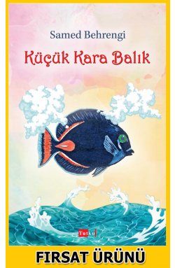 Küçük Kara Balık